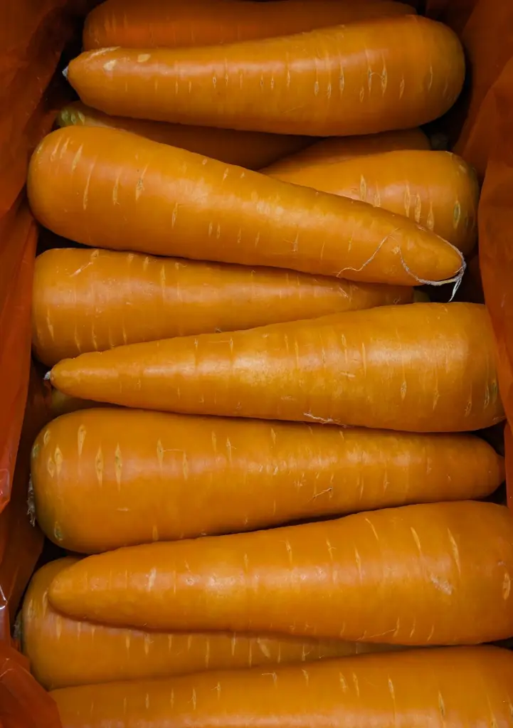 蔬菜 - 胡蘿蔔 Carrot