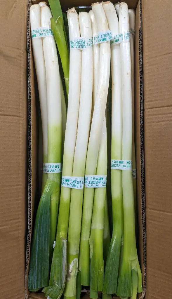 蔬菜 - 大蔥 Leeks