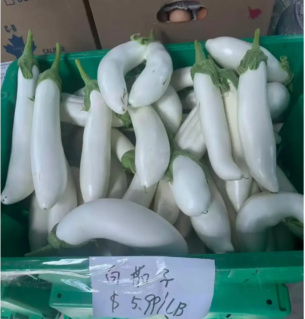 蔬菜 - 自產長茄子 （白色）Eggplant