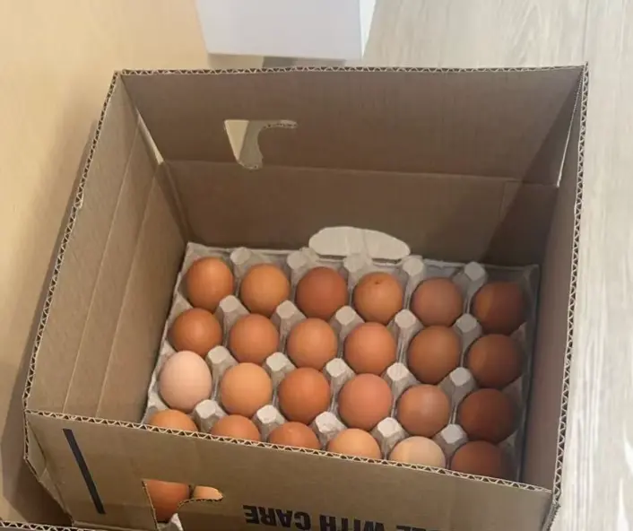 雞蛋 Eggs 30pc