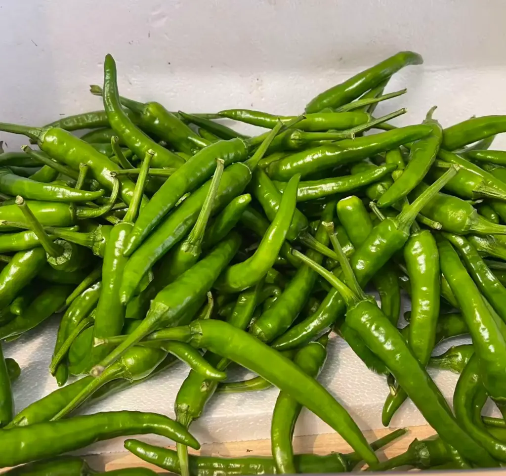 蔬菜 -小米椒 Xiao Mi Jiao