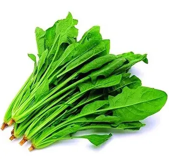 蔬菜 - 本地波菜 Spinach