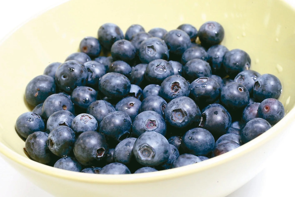 水果 - 藍莓 Blueberry