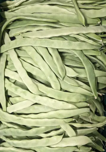 [5400029] 蔬菜 - 自產雲豆 Farm Grown Kidney Beans
