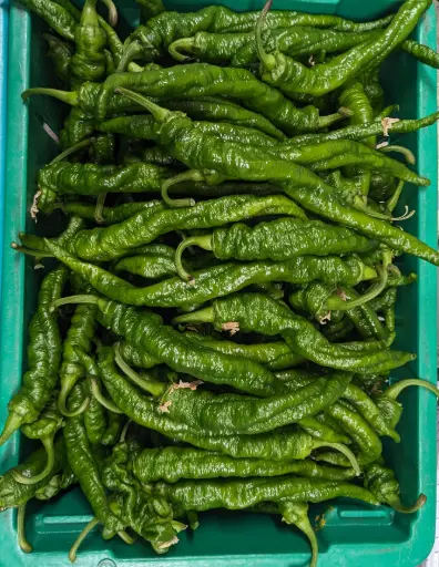 [5400026] 蔬菜 - 自產螺絲辣椒 Farm Grown Screw Pepper