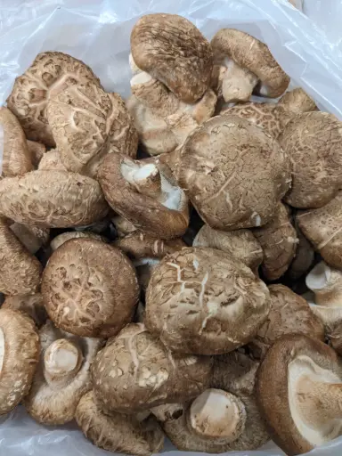 [5400031] 蔬菜 - 花菇 Flower Shiitake Mushroom