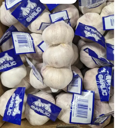 [5400006] 蔬菜 - 整包大蒜 Bagged Garlic