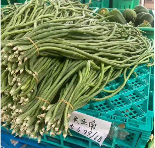 [5400035] 蔬菜 - 豇豆 Yardlong bean