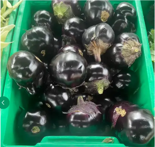 [5400020] 蔬菜 - 自產圓茄子 Eggplant