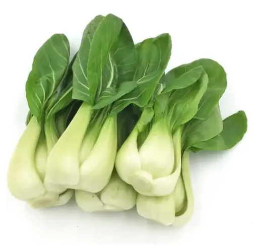 [5400003] 蔬菜 - 上海青 Shanghai Bok Choy