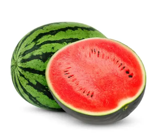 [5400039] 水果 - 西瓜 Watermelon
