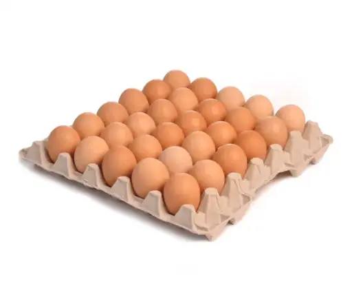 [5400047] 棕色雞蛋大號 Brown Eggs Large 30s (會員不積分）